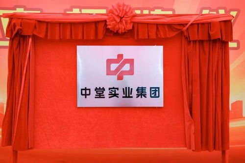 高質量發展新征程 中堂實業集團揭牌成立，百墩實業開啟新篇章